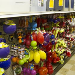 ...and some of our dog toys